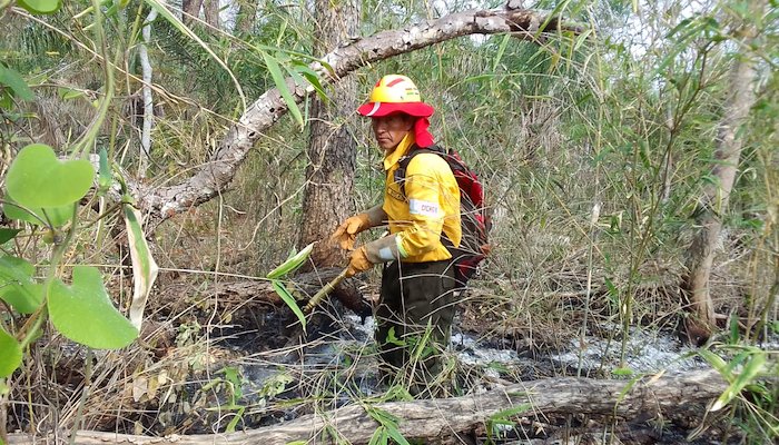 Read El fuego en manos de la comunidad, ayer y ahora by PNUD Bolivia