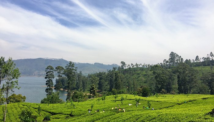 Read Sri Lanka by Bianca Janelle