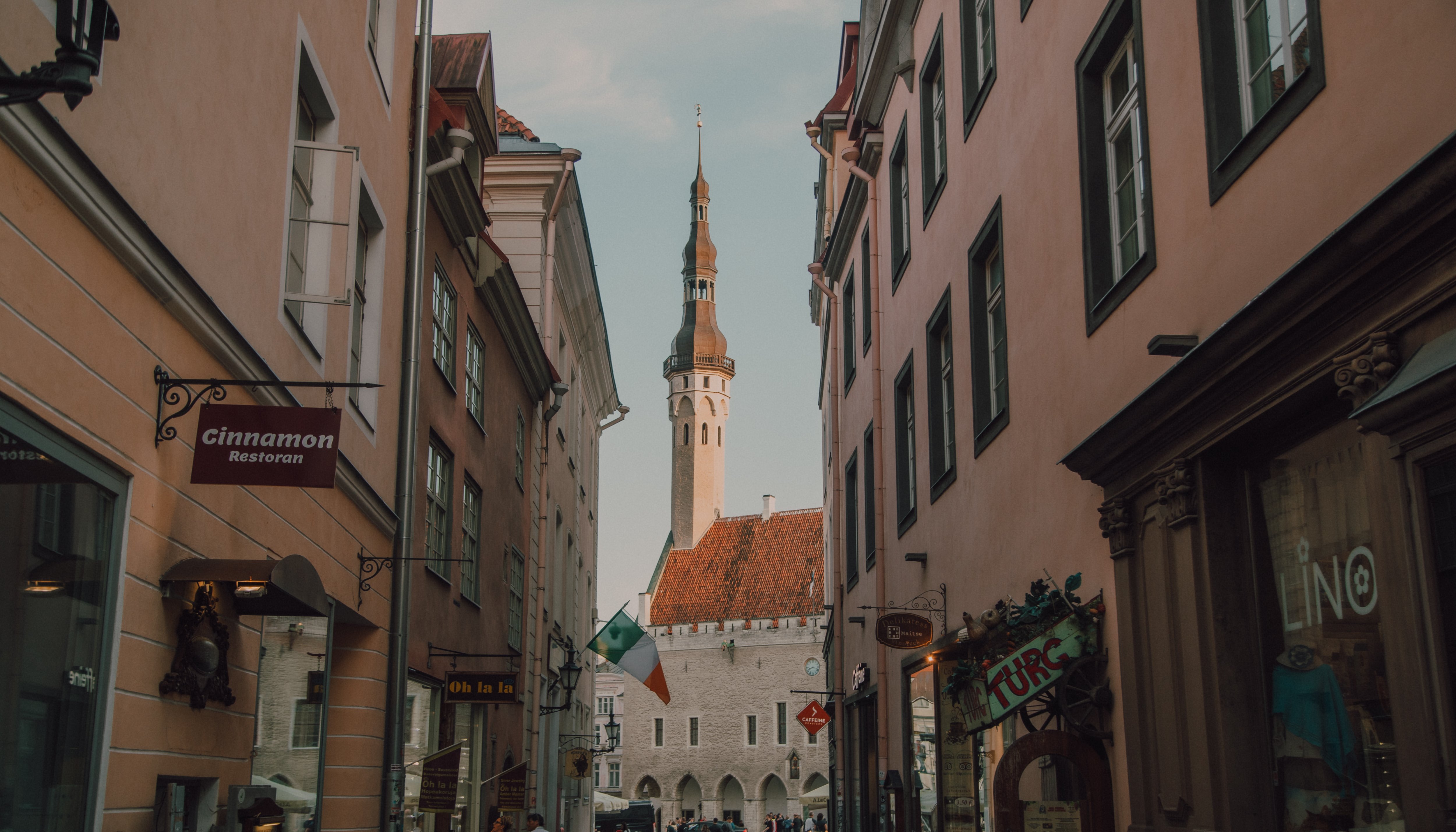 Read Old Town Tallinn by Inderjit Singh
