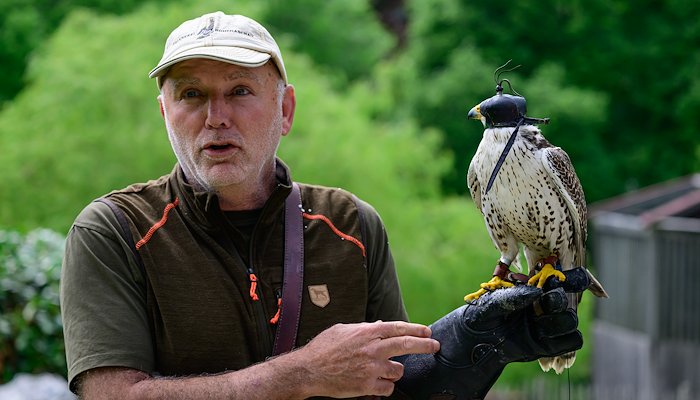 Read Catching Birds III by Ron Timmers