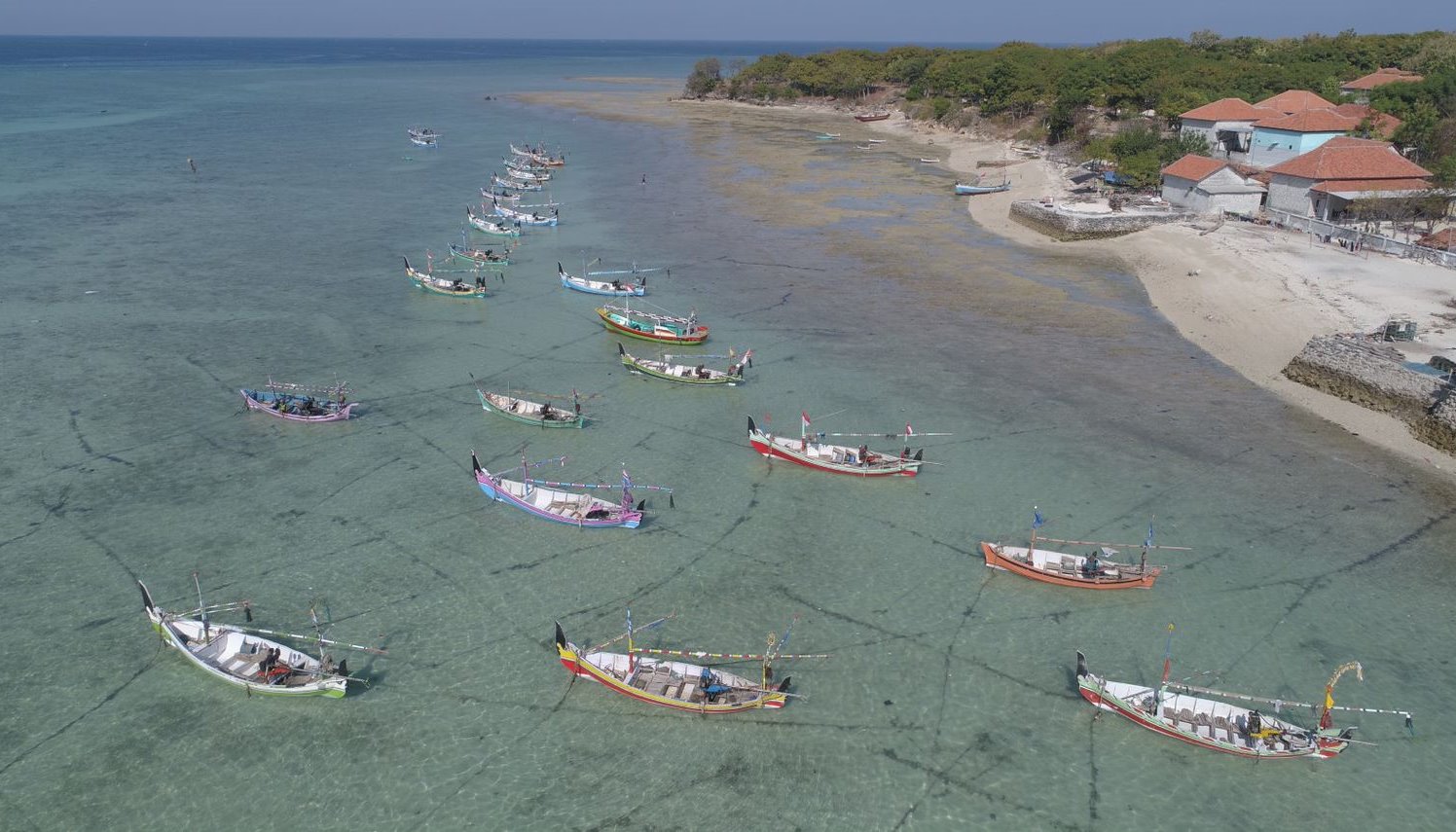 Read Building better blue swimming crab fisheries after the COVID-19 pandemic by Global Marine Commodities