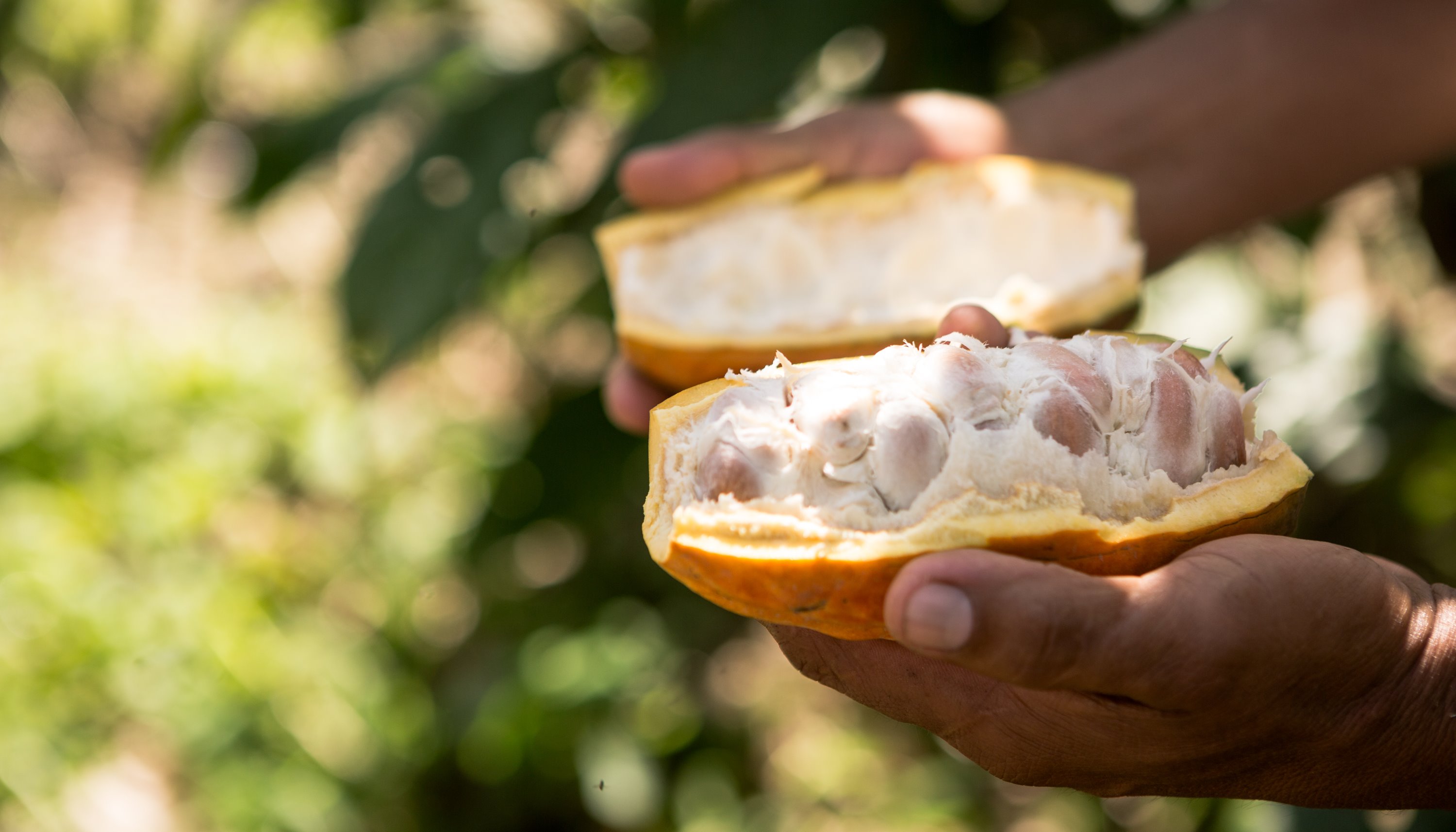 Read Smooth and sweet by WWF