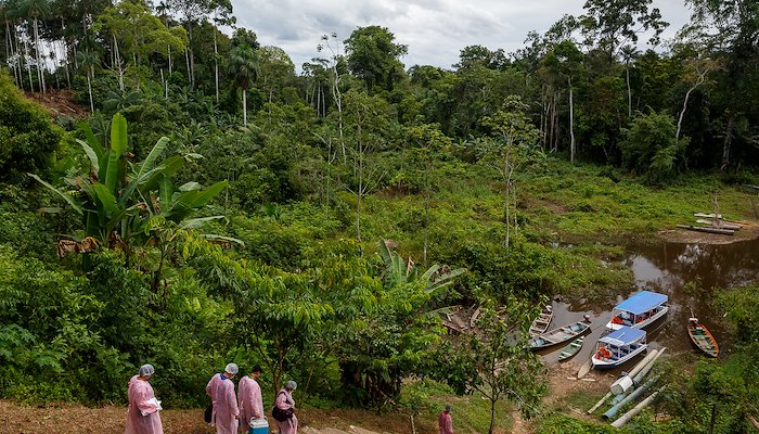 Read COVID-19 na Amazônia by Médicos Sem Fronteiras