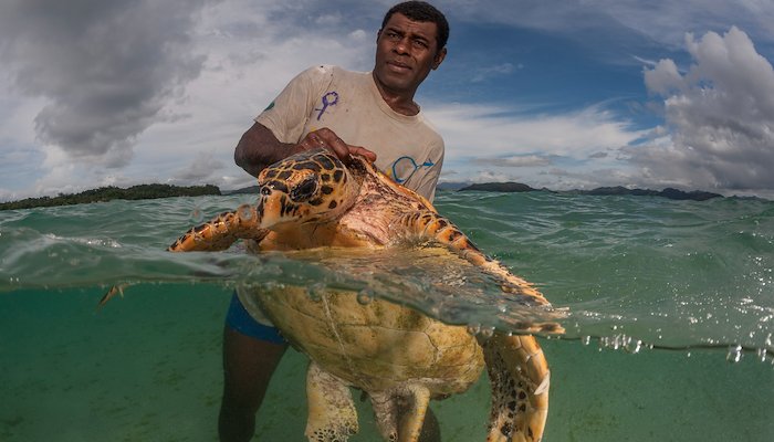 Read How communities in Fiji are building climate resilience by weaving tradition with conservation practices by WWF Asia-Pacific