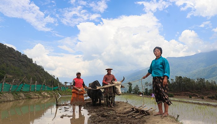 Read REVIVING HOPE IN PHANGYUL by UNDP Bhutan