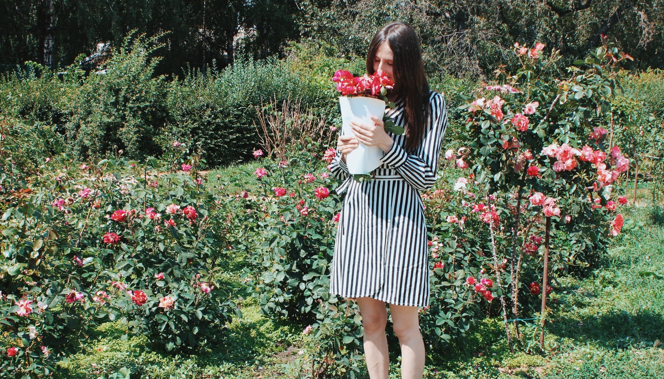 Read Нуль відходів: як кав’ярня допомагає ботанічному саду в Києві by UNDP Ukraine