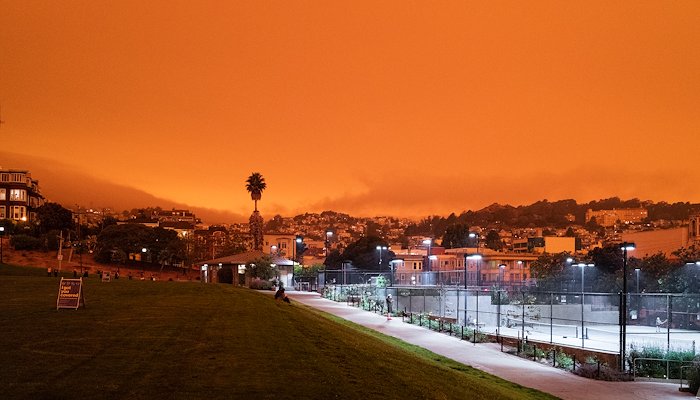 Read Orange San Francisco by Verne Ho