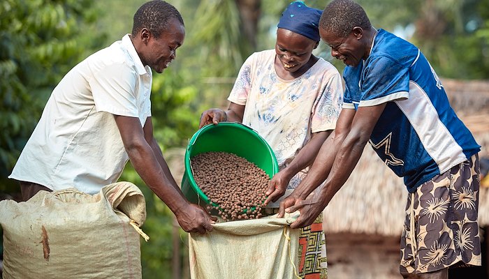 Read Democratic Republic of Congo: Reviving a Lost Legacy with Virunga Coffee by USAID Private Sector Engagement