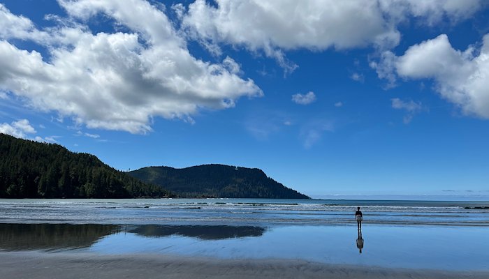 Read Cape Scott by Morgan Burke