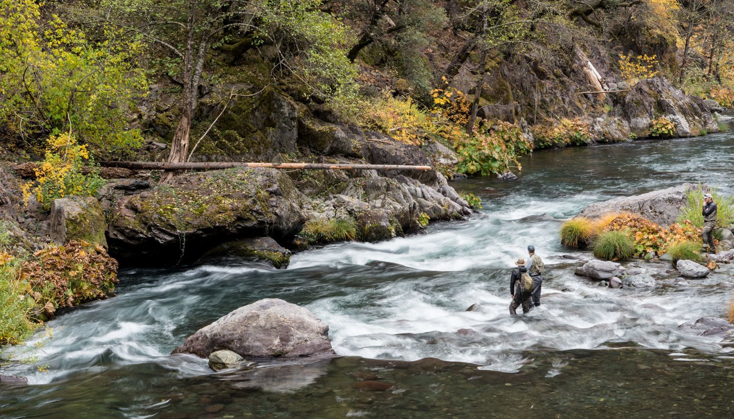 Read Top 10 Fall Fly Fishing Trips in California by Lost Coast Outfitters