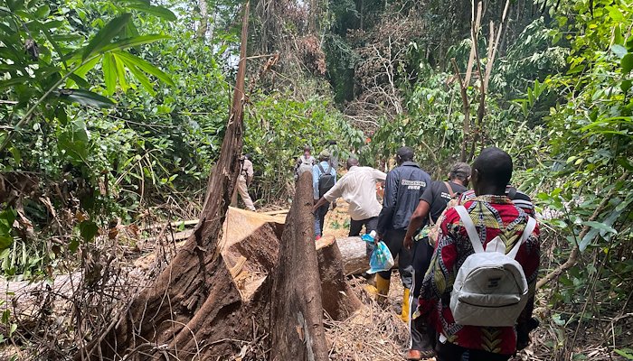 Read Des innovations numériques pour la protection des espèces sauvages et des ressources naturelles de la RDC. by Holly Kandel