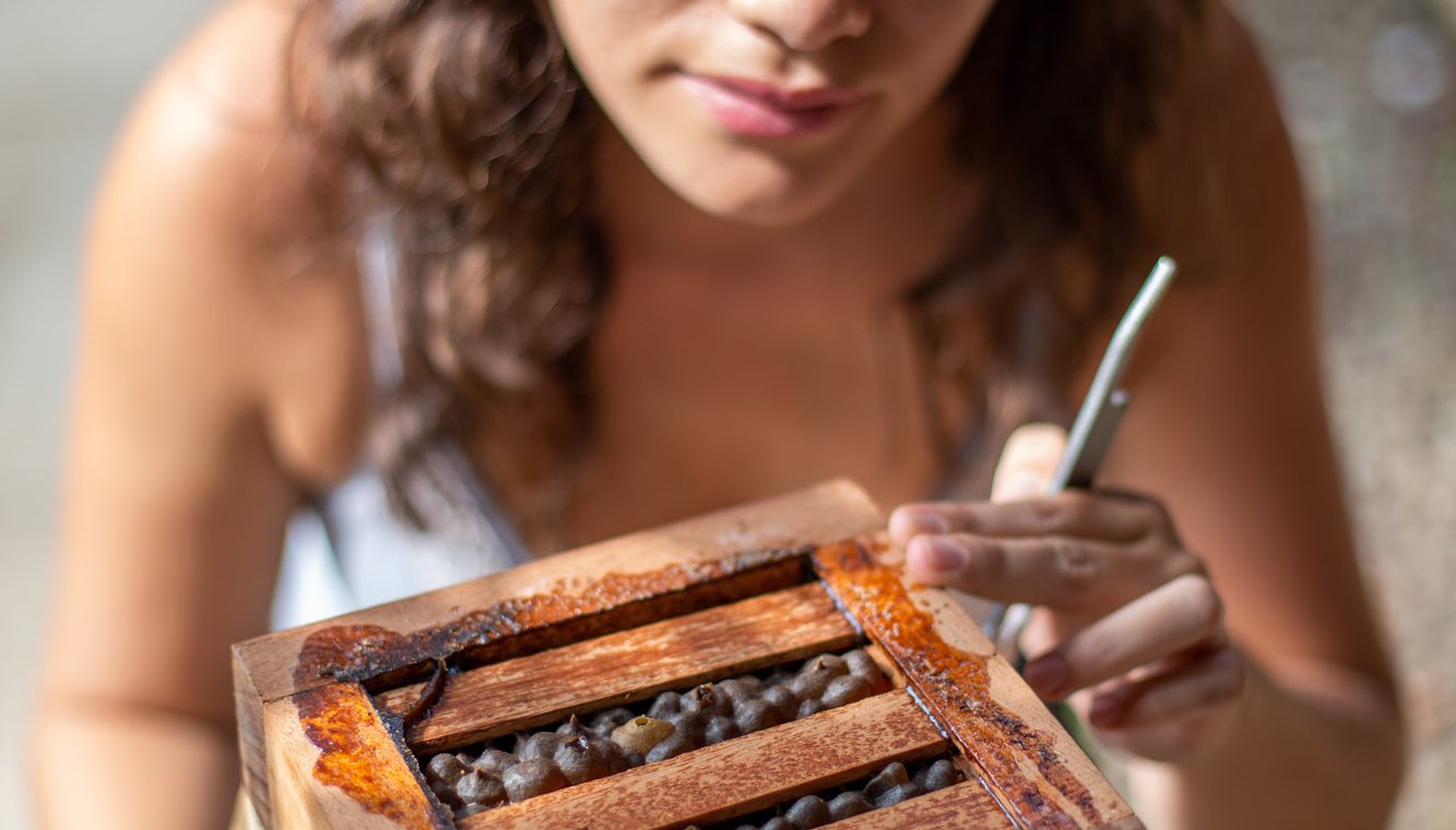 Read Rural women, nature, and development by PNUD en América Latina y el Caribe