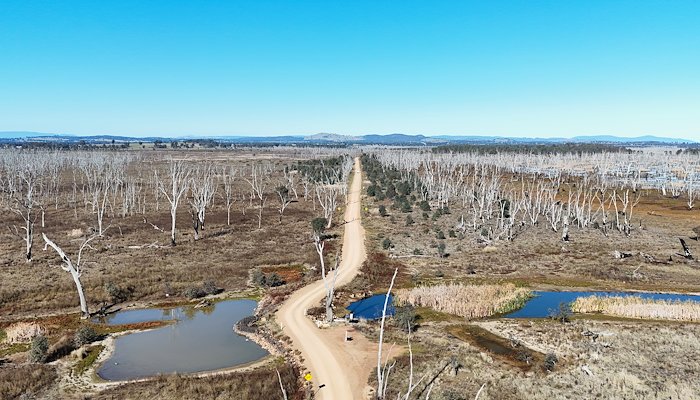 Read Winton Wetlands by Matthew Coad