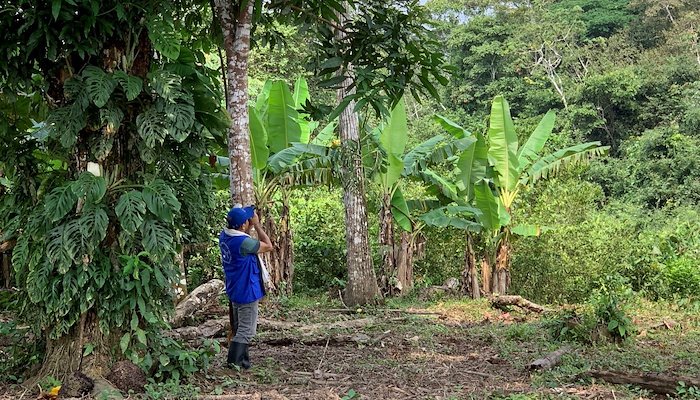 Read CONSERVAR LA NATURALEZA:&nbsp; by PNUD Colombia