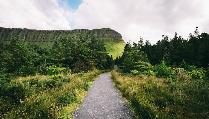 Read Road to Sligo by Melissa Keizer