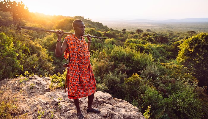 Read A Walking Safari by Compelling Story