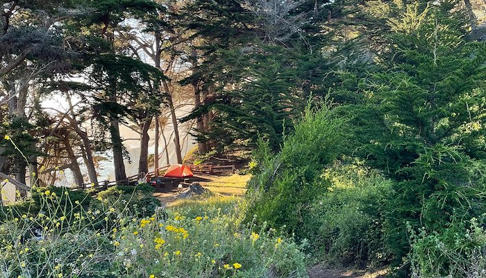 Read Big Sur and Carmel by Michael J Gradziel