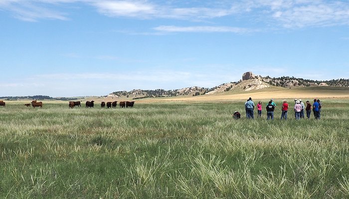 Read Pastures in western Nebraska respond positively to cheatgrass herbicide management by Natalie Jones
