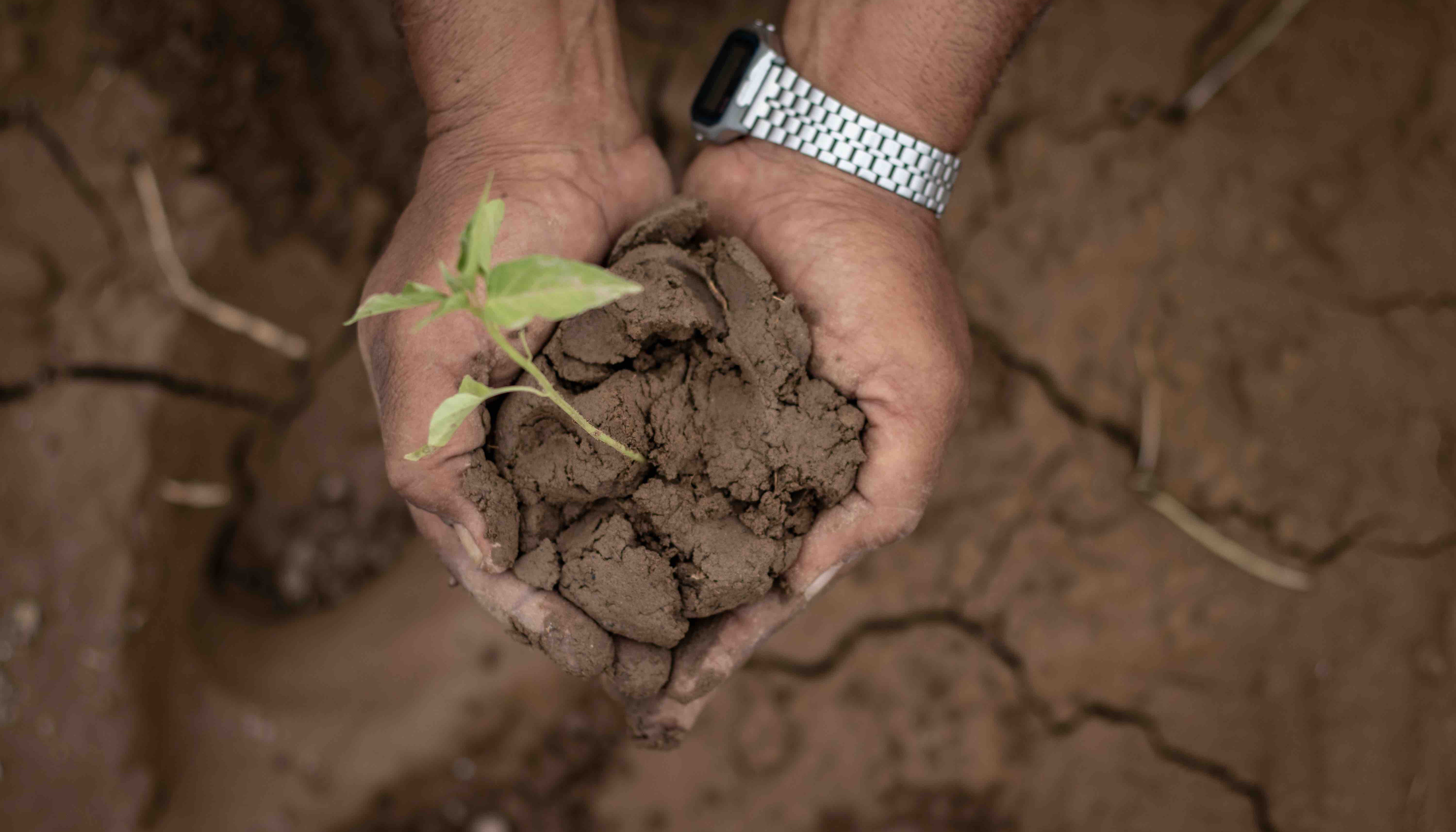 Read Soil, the Heart of the Earth by Communications UNDP Yemen