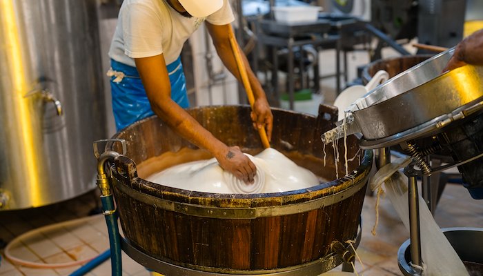 Read Cheese Factory by Paolo Taverna