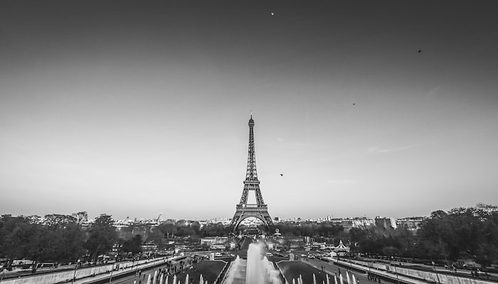Read Regina in Paris by Daniel Frauchiger