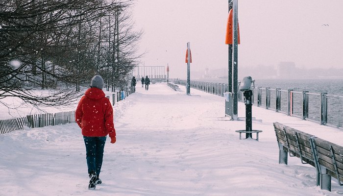 Read Snowstorm in NY by Andre Ribeiro