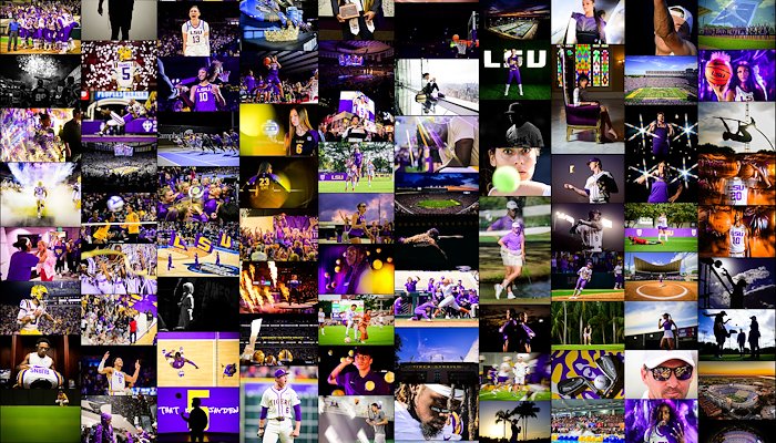 Read 2023-2024 Top Photos by LSU Athletics