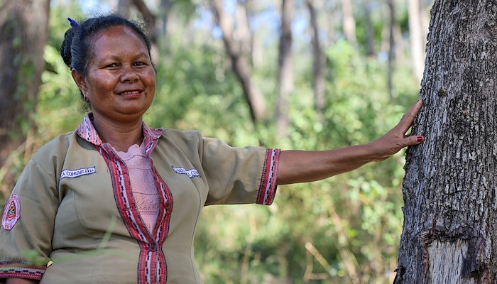 Read Restoring the Land in Timor-Leste&nbsp; by Catholic Relief Services