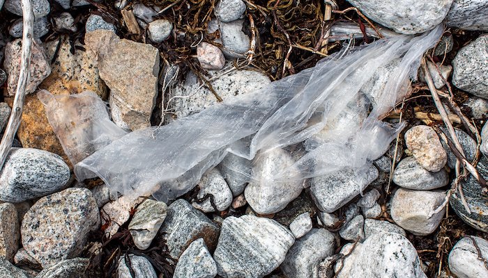 Read Monitoring of plastic pollution in the Arctic by GRID-Arendal