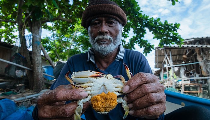 Read How marine sanctuaries are helping to save an iconic Thai crab by IW:LEARN