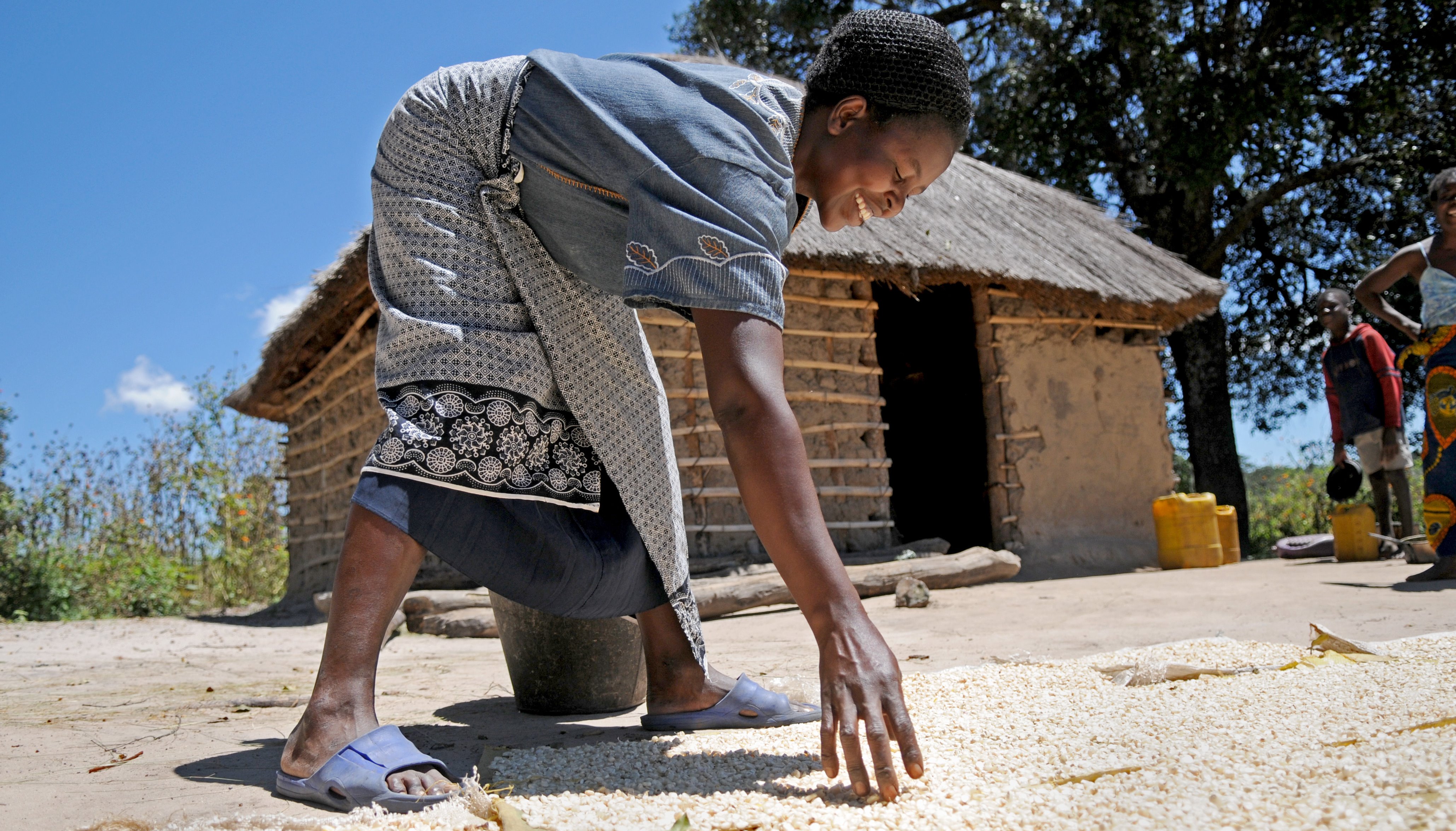 Read BREAKING THE CYCLE OF POOR HARVESTS by Moses Zangar, Jr.