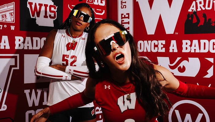 Read WE ARE THE BADGERS by Brittany Dildine