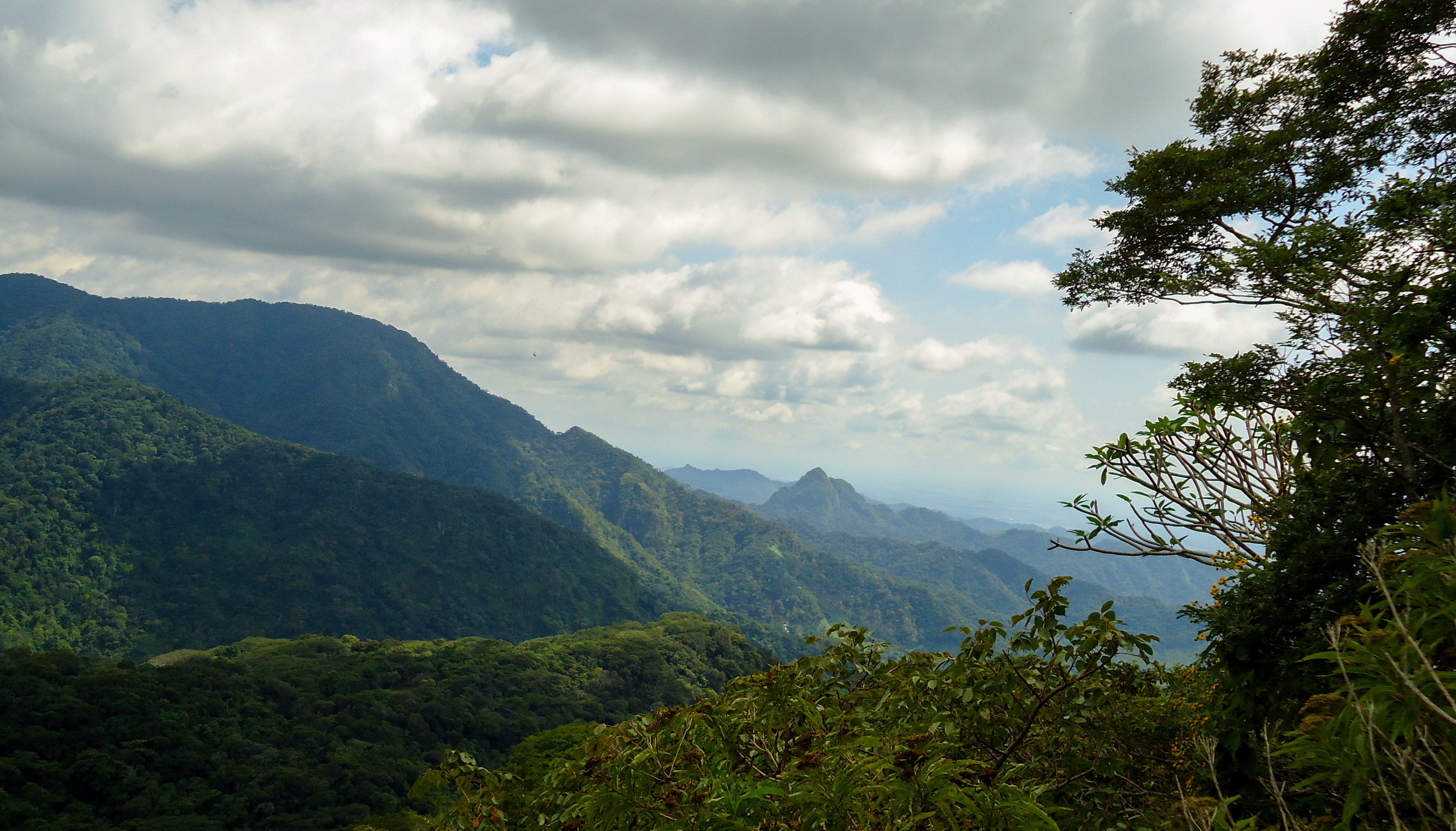 Read Healing the Earth’s lungs by United Nations Development Programme
