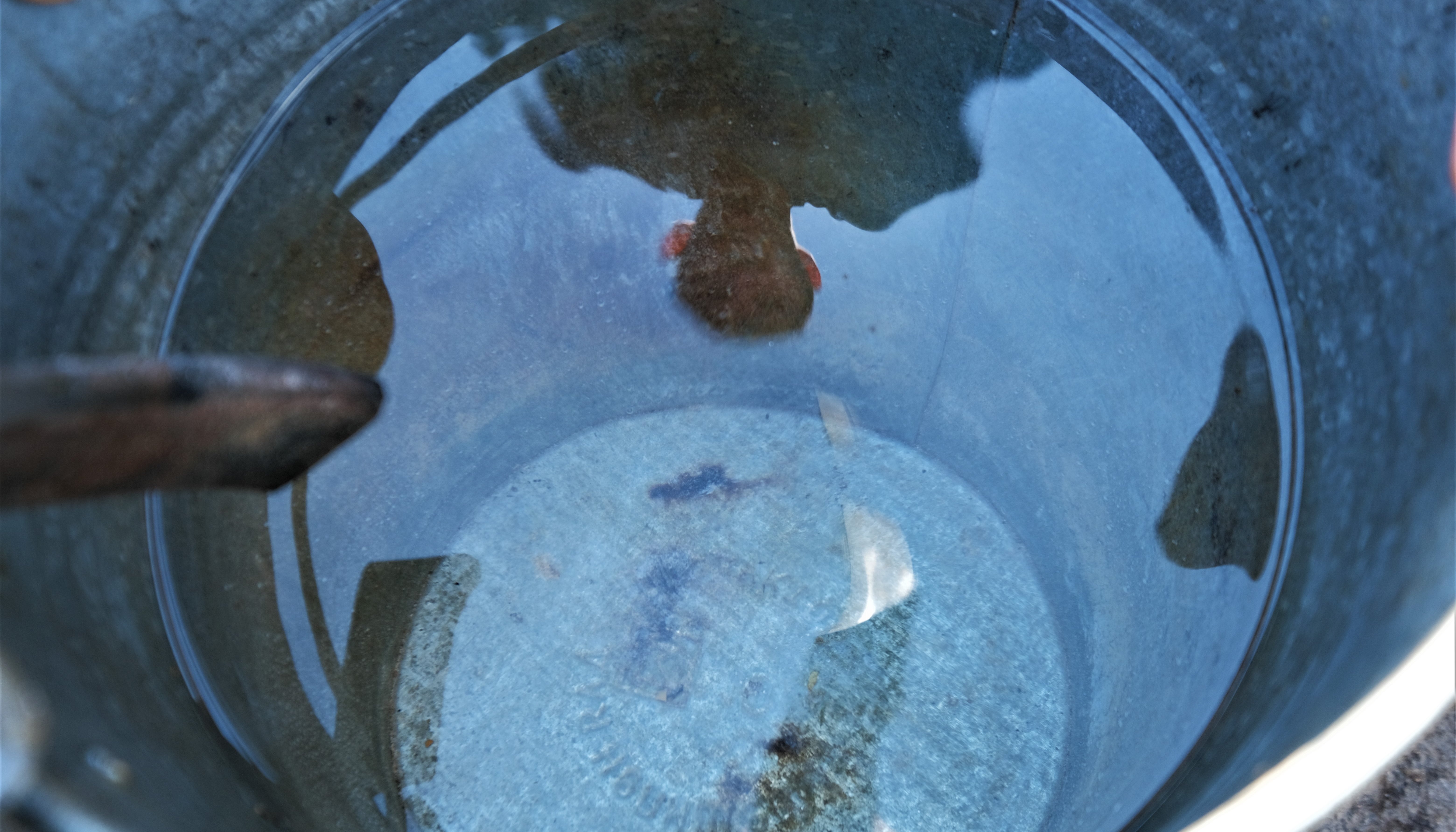 Read True Value by Climate UNDP