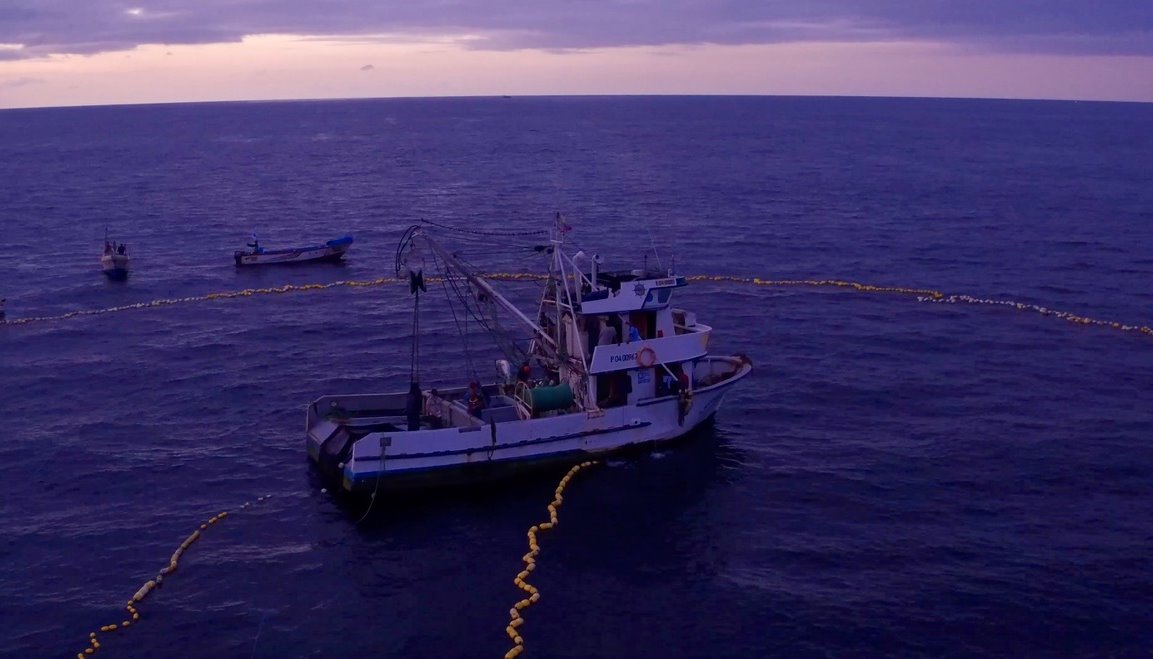 Read A COLLECTIVE ACTION TOWARDS FISHERY SUSTAINABILITY by Global Marine Commodities