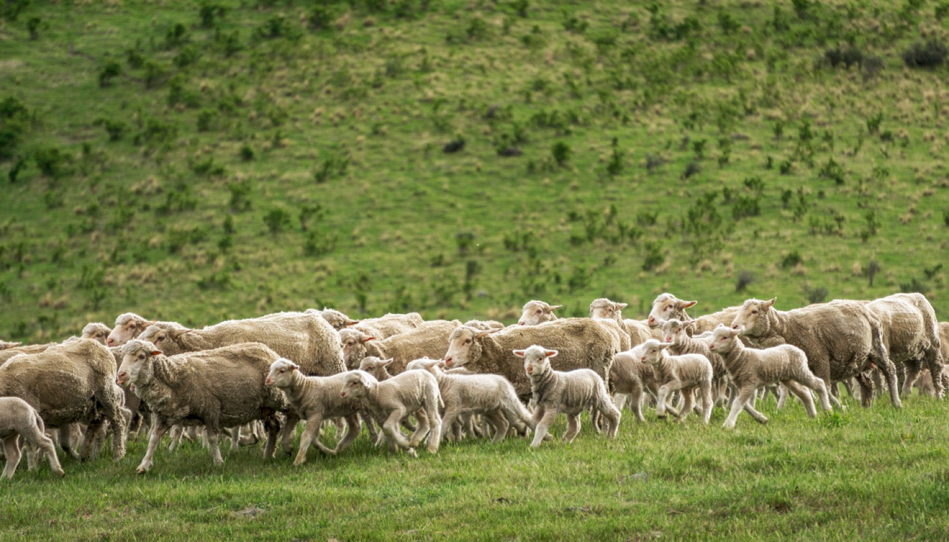 Read In pursuit of always better - how fashion can be part of the climate&nbsp;solution by United Nations Development Programme