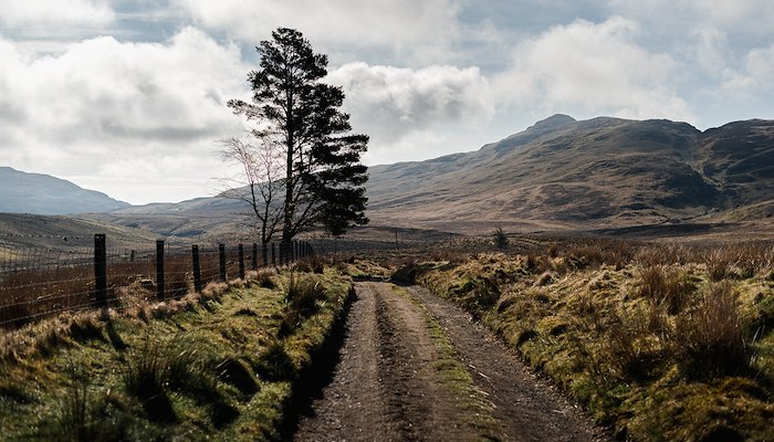 Read The Ochils by Jay Golian