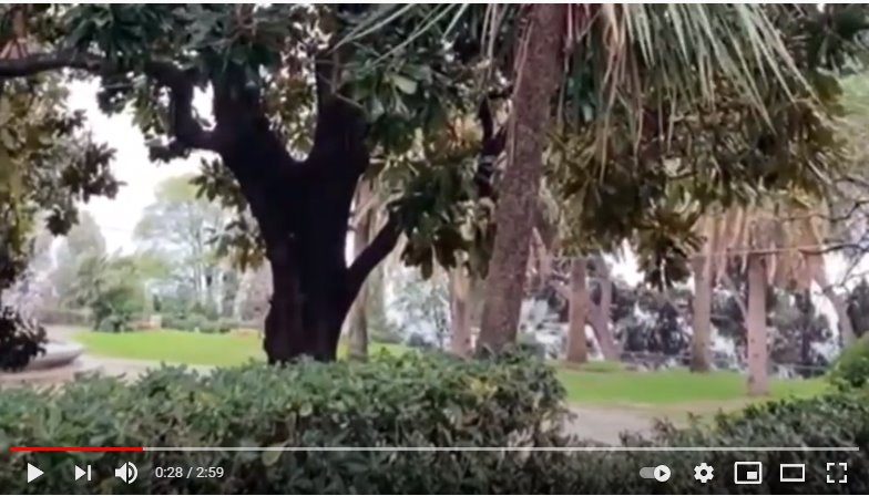 Read MONTENEGRO by YRE Competition