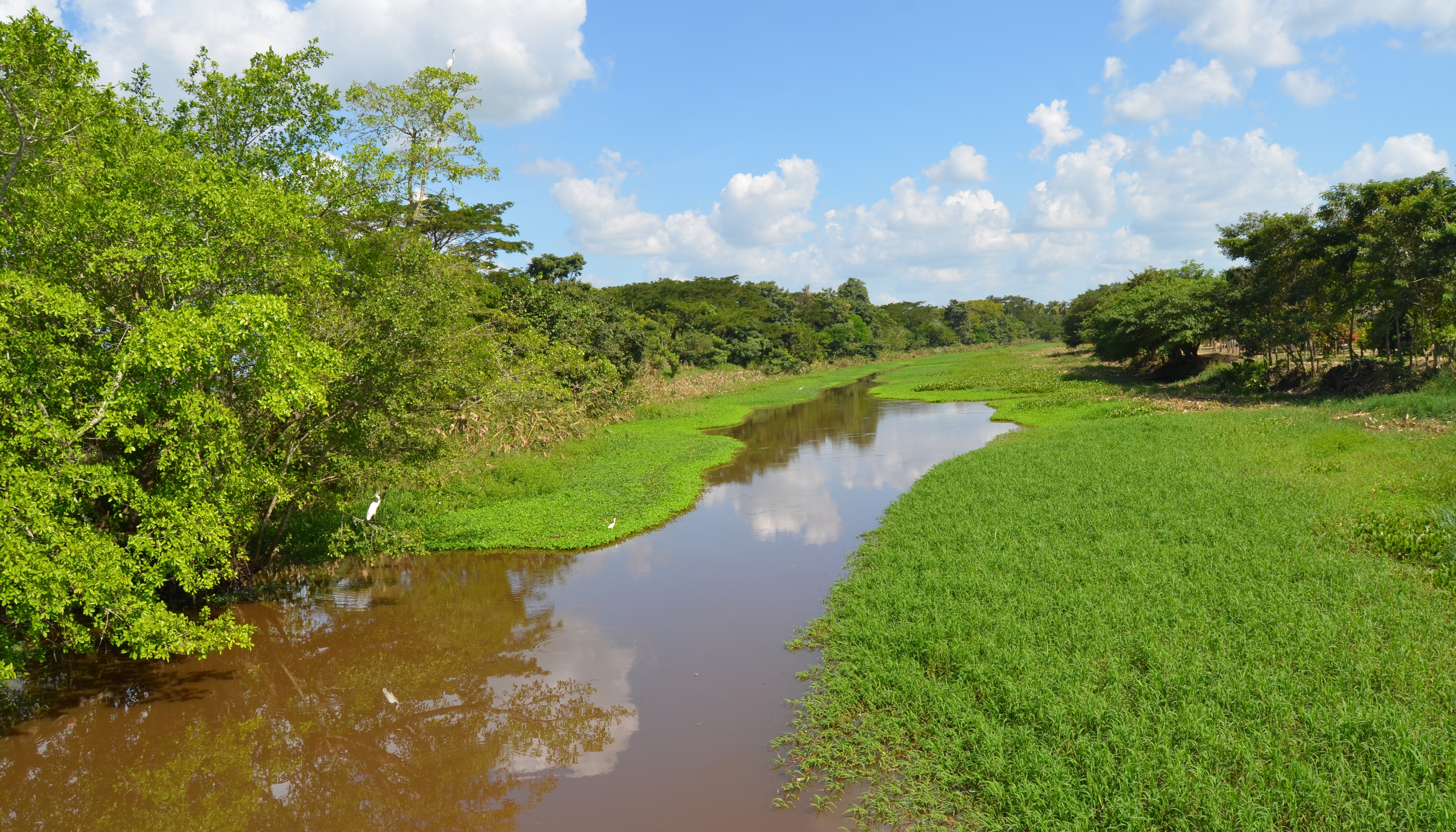 Read COLOMBIA’S INFINITE WETLANDS by Climate UNDP