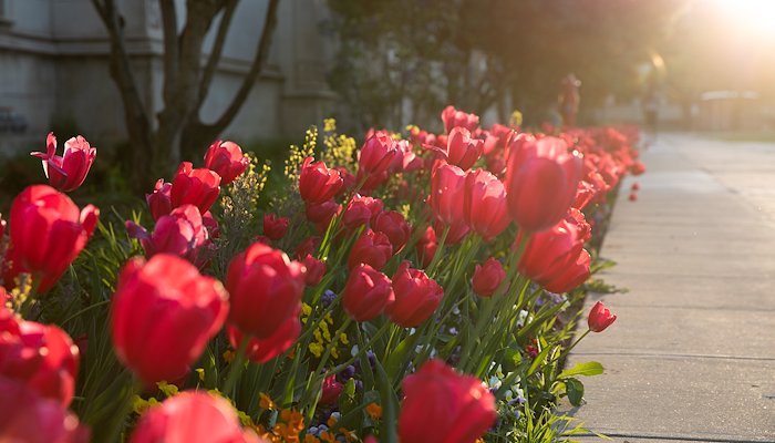 Read Lasting Impact: Day of Giving 2023 by Stacy Caliva