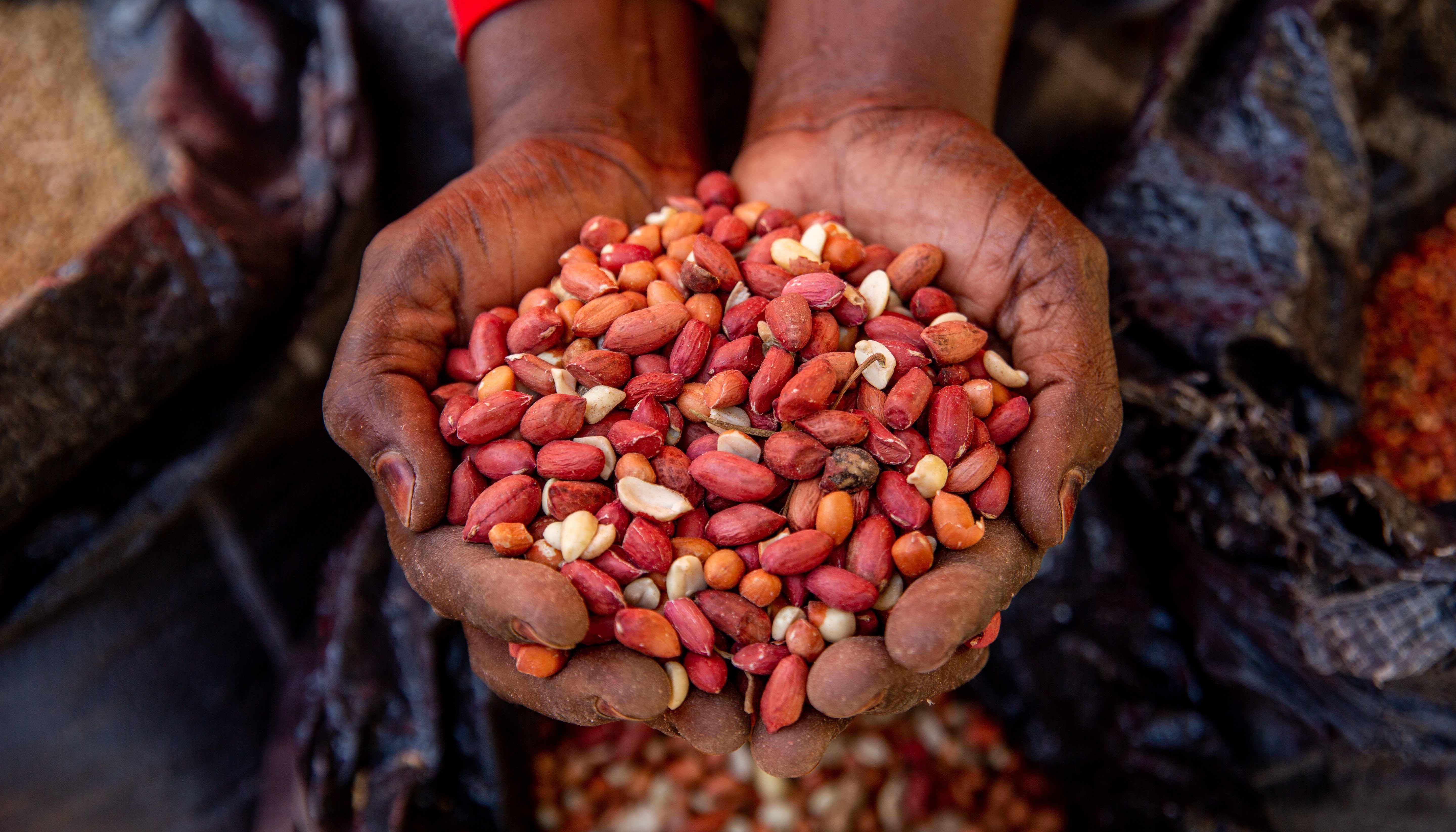 Read The Cost of Hunger by United Nations OCHA