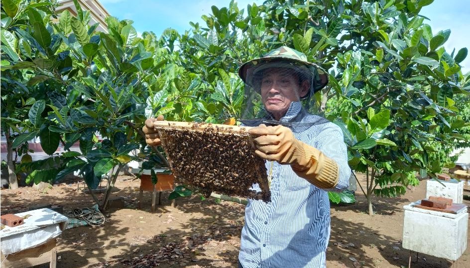 Read SWEET SUCCESS by Climate UNDP