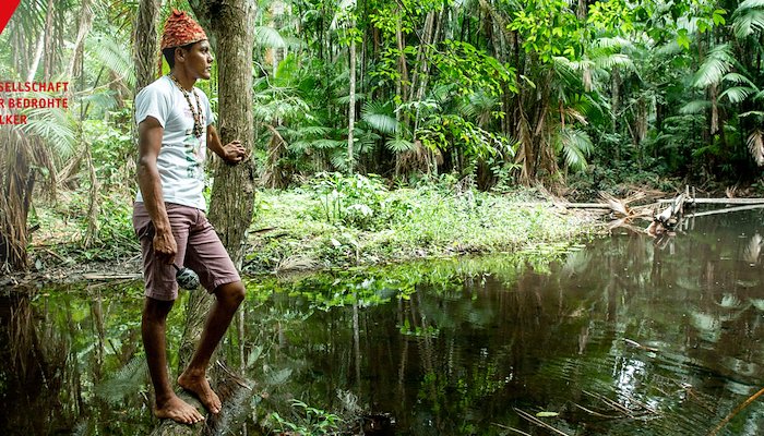 Read "Todesprojekte" im Amazonas&nbsp; by Irene Gurtner