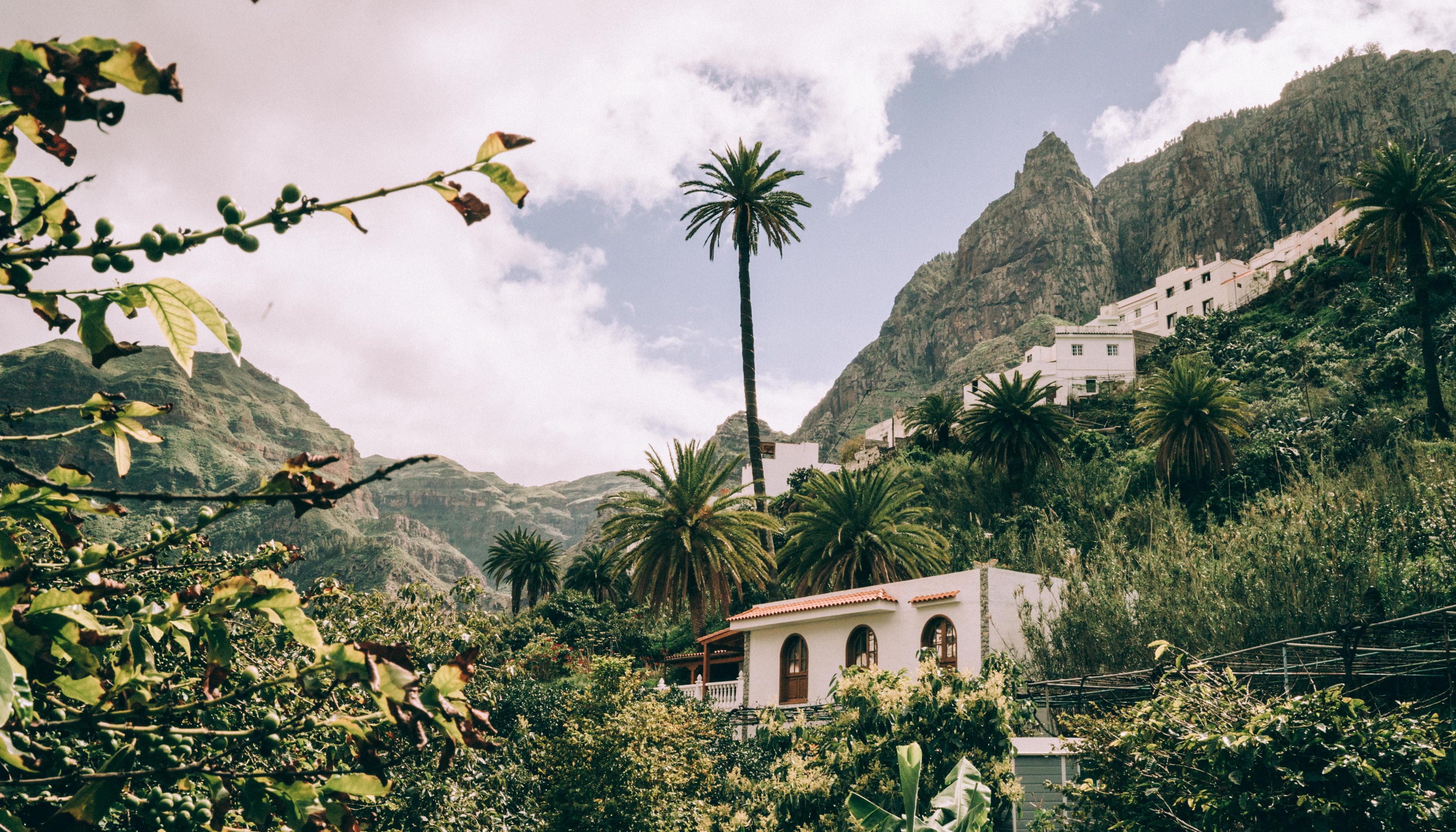 Read Growing Coffee in Spain? by Brodie Vissers