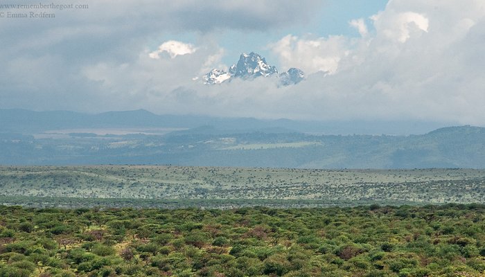 Read &nbsp;Walking at the treeline of Mount Kenya by Remember the Goat
