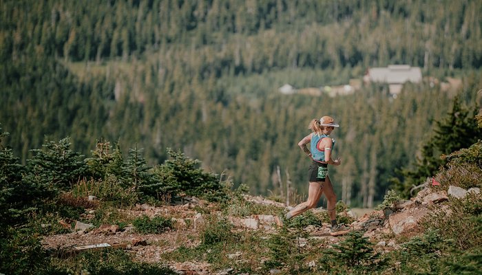 Read Mount Washington 2024 by Brett Clarke