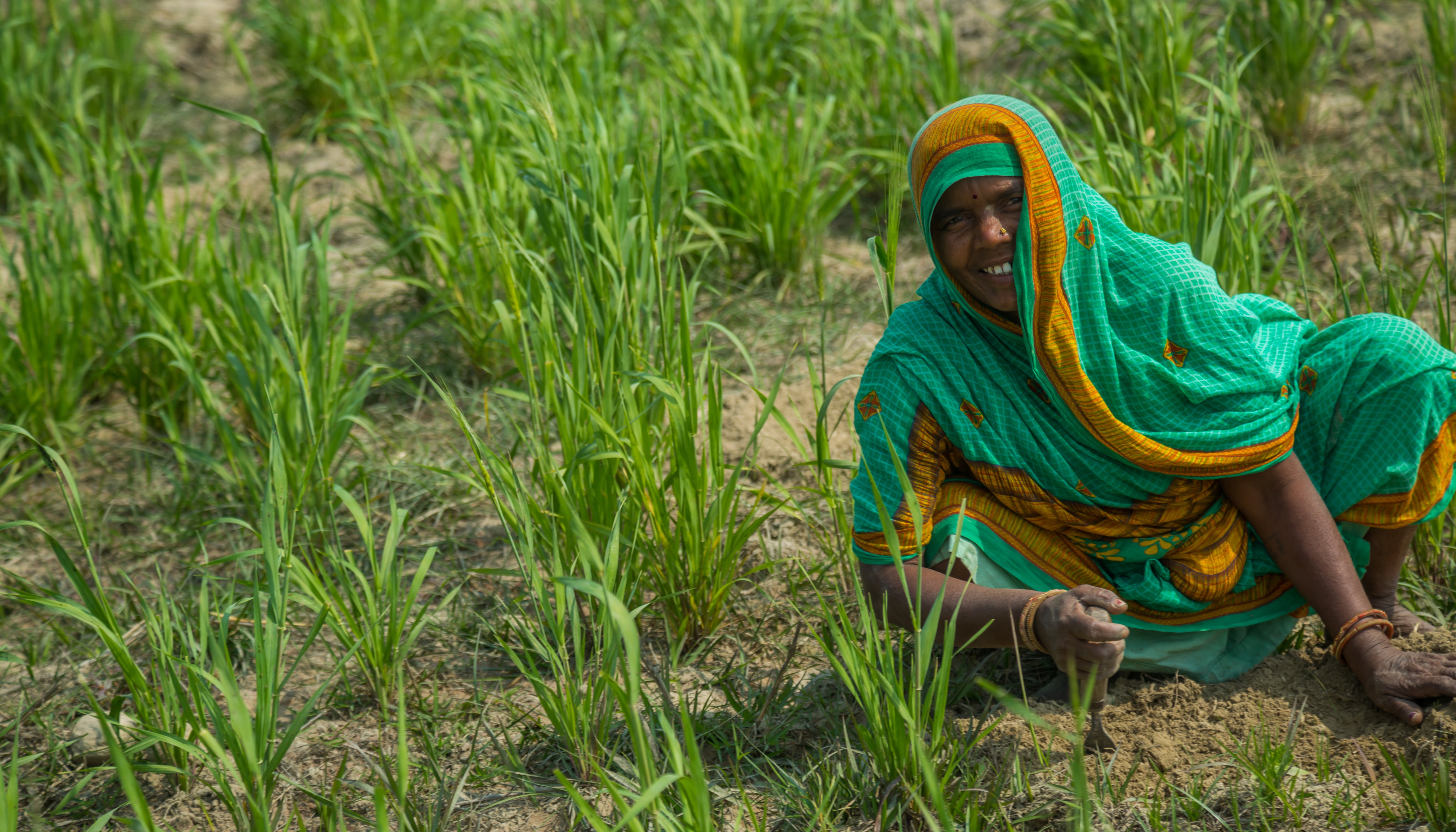 Read Turning barren land into multi-layer farms by UNDP Nepal