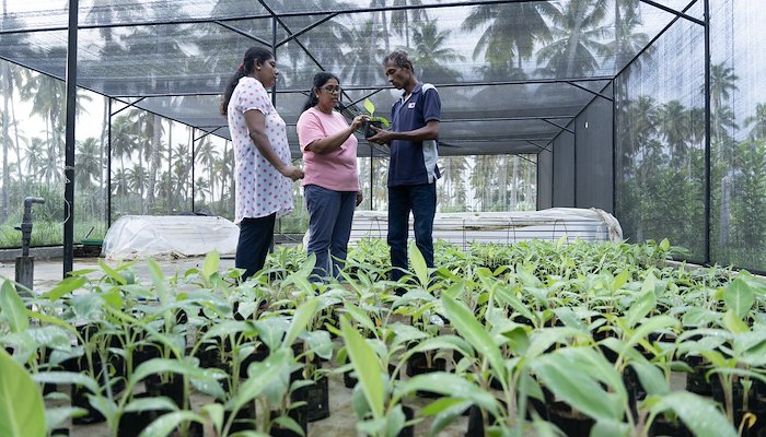 Read Investing in the bigger picture by UNDP Sri Lanka