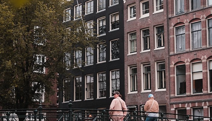 Read Amsterdam by Adam Wilson