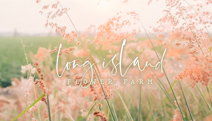 Read LONG ISLAND FLOWER FARM by Erin Dengeles Fielbig